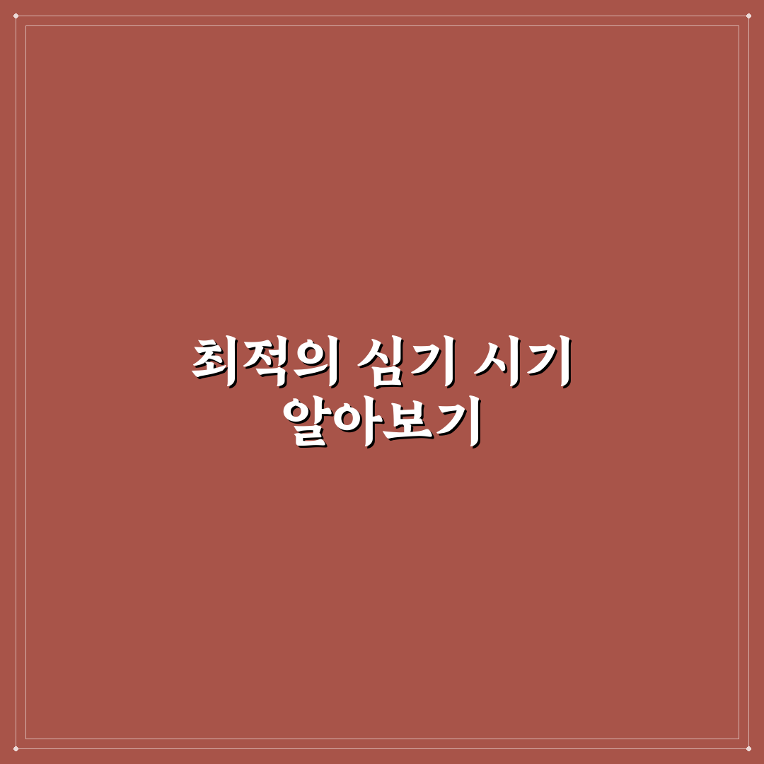 맥문동 심는시기와 방법 초보자도 쉽게 알아보는 꿀팁