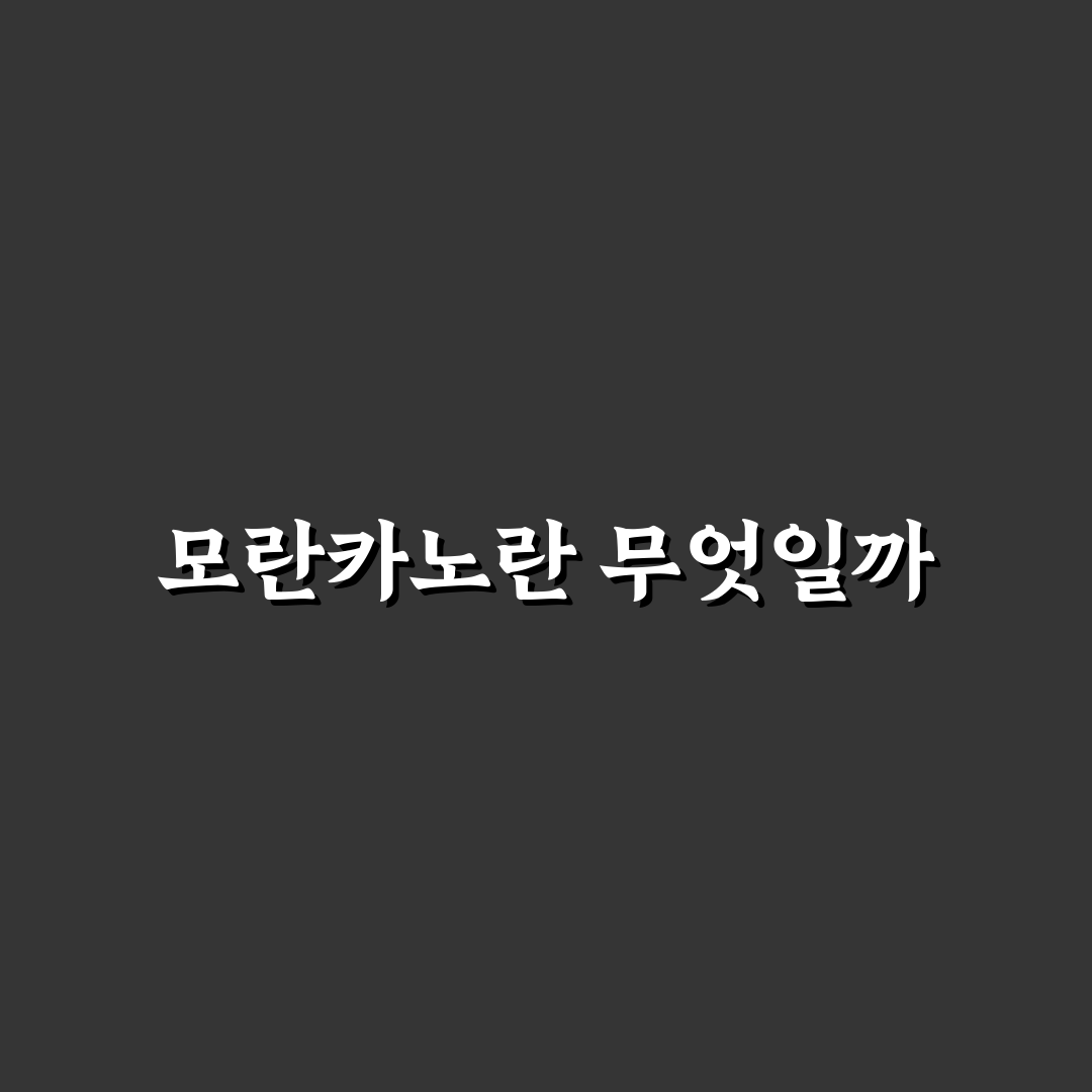 모란카노 초보자를 위한 활용 팁과 추천 방법
