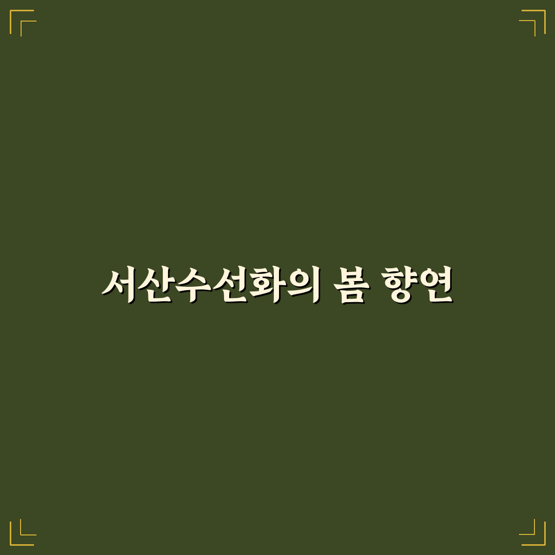 서산수선화축제 방문 꿀팁과 행사 정보 정리