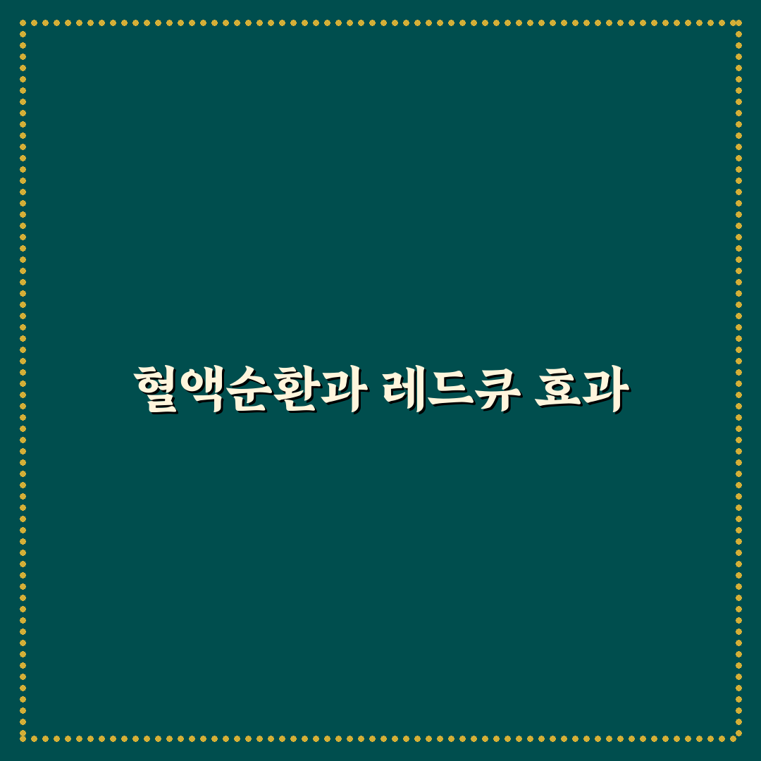 혈액순환 레드큐 사용법과 효과 꿀팁 알려드려요