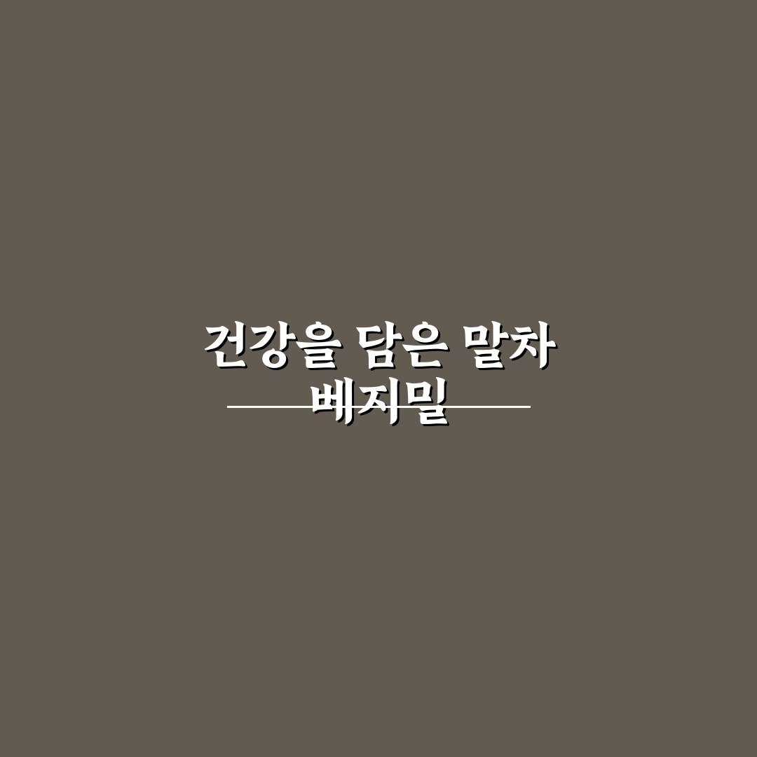 말차 베지밀 맛과 영양 비교 정리 알려드려요