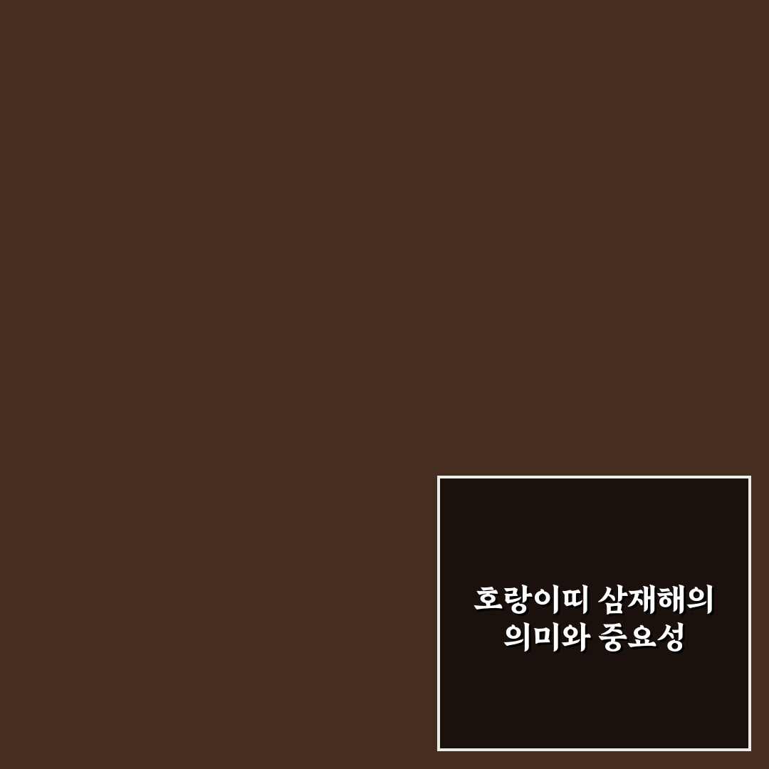 호랑이띠 삼재해 극복 꿀팁과 주의사항 정리