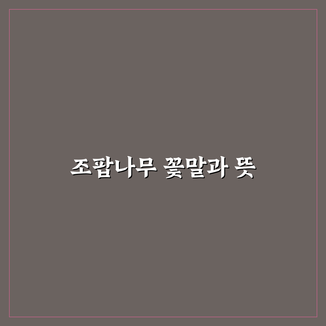 조팝나무 꽃말이 궁금해요 의미와 꿀팁 정리