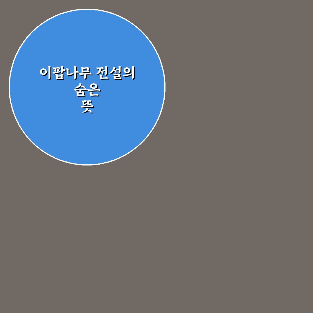 이팝나무 전설과 함께 알아보는 의미와 유래 정리