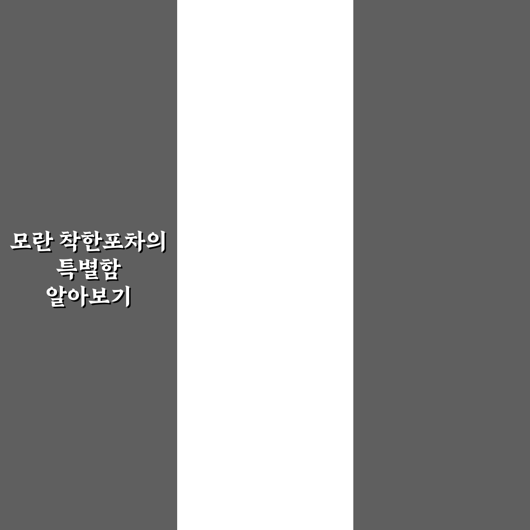 모란 착한포차 방문 전 알아두면 좋은 꿀팁 공유
