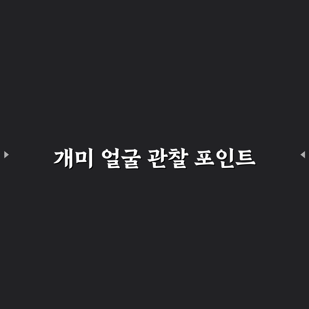 개미 얼굴 현미경 관찰 기준과 5가지 체크포인트 분석