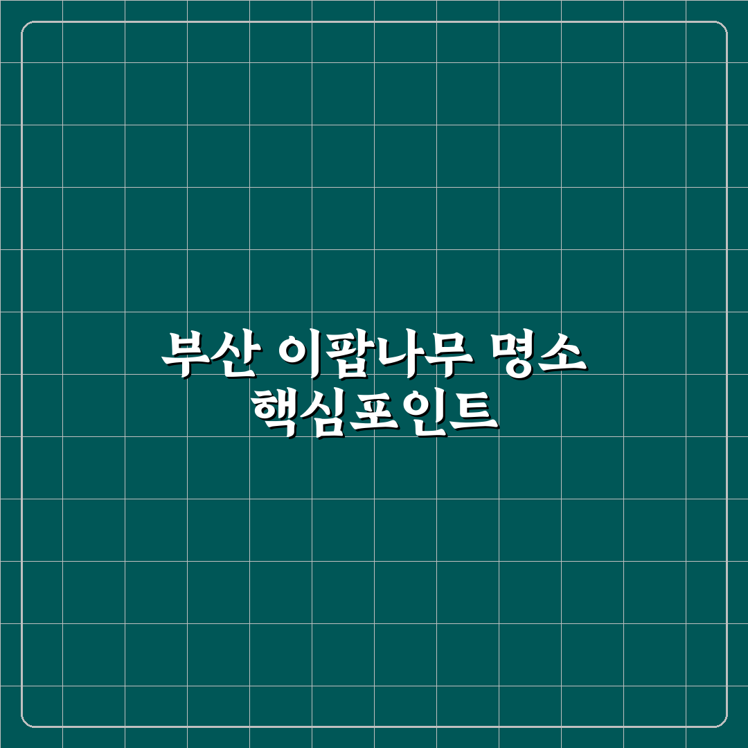 부산 이팝나무 명소 비교와 방문 전 체크포인트 총정리