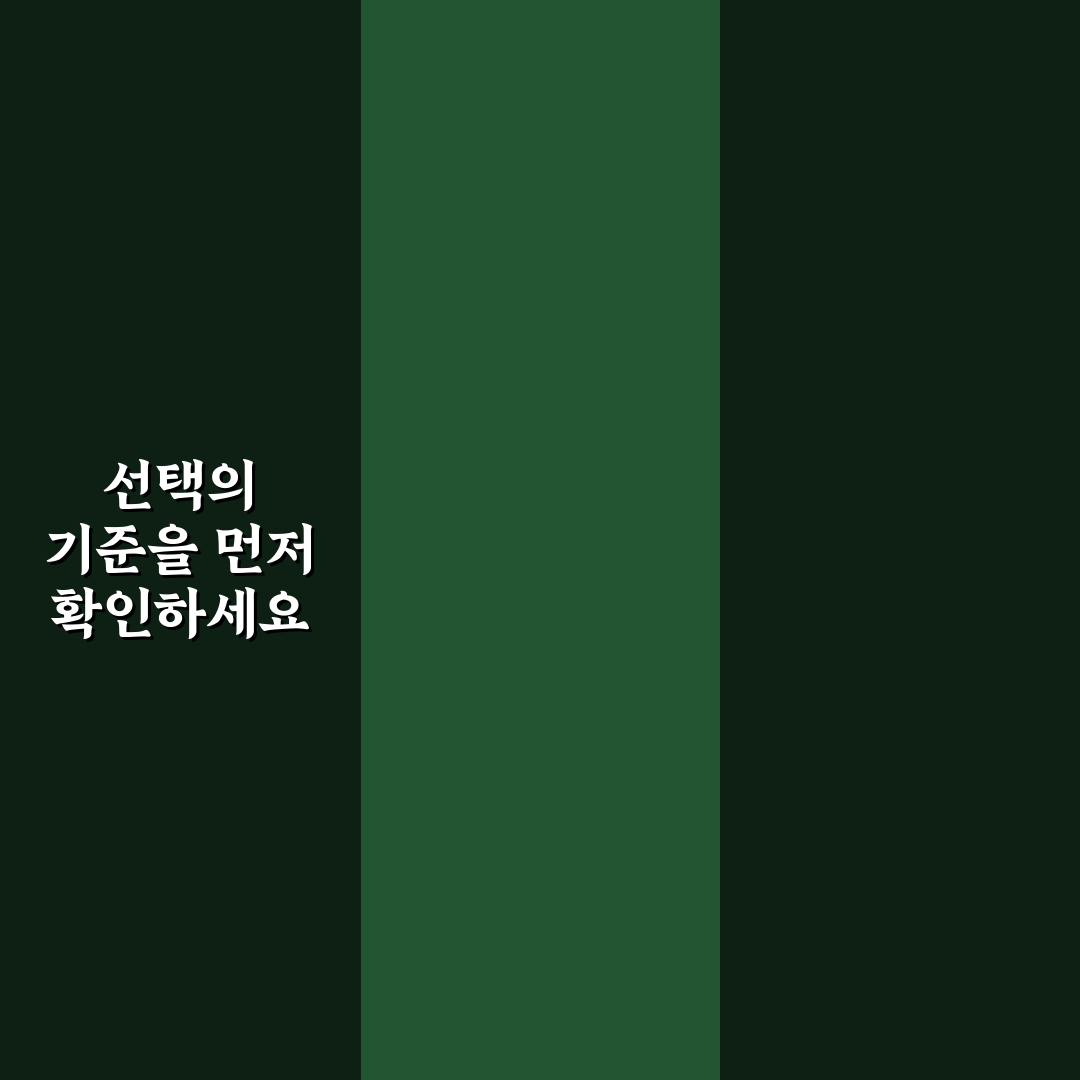 오딧세이 로맨틱 2종 세트 비교와 선택 가이드 5가지 기준
