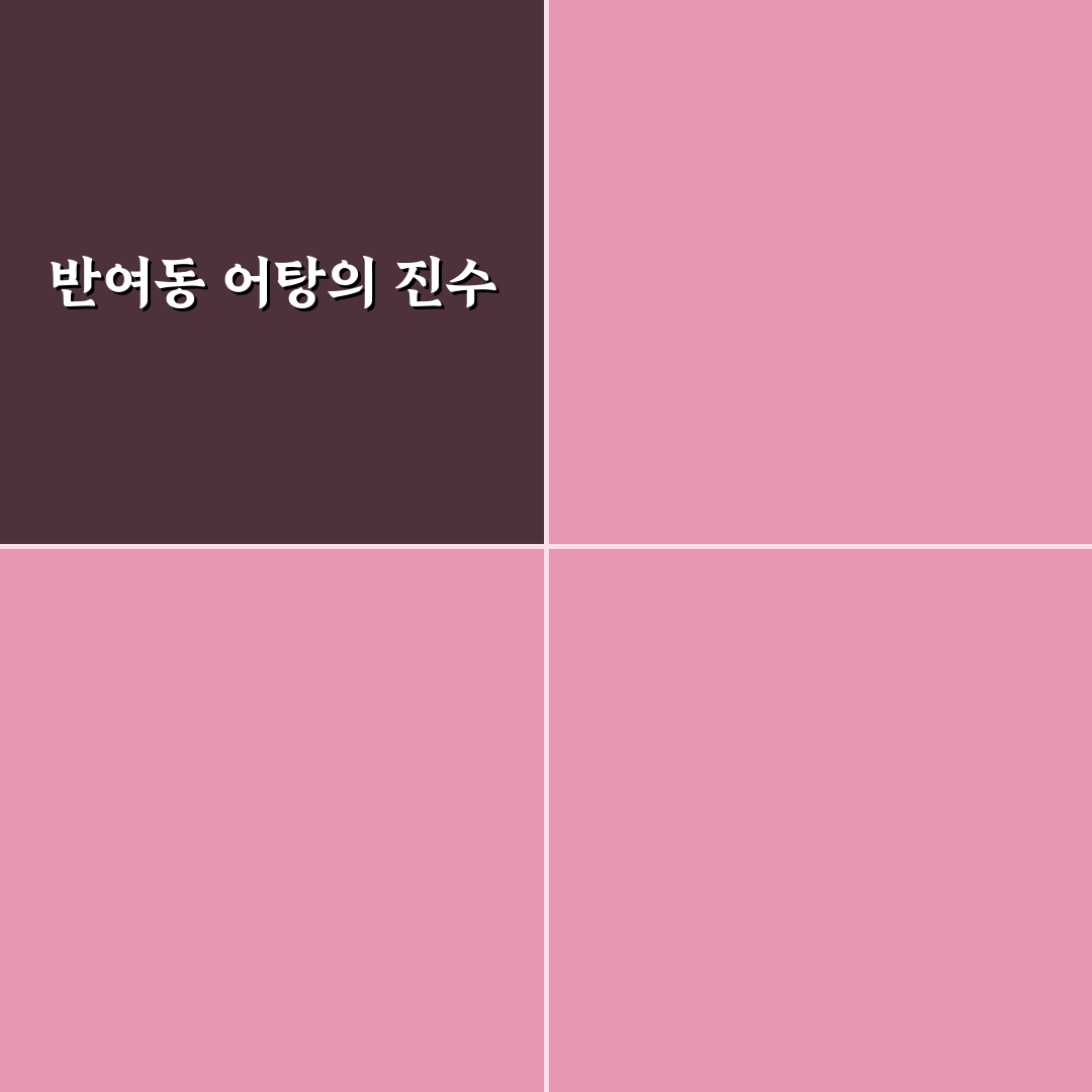 반여동 어탕 맛 집 5가지 비교와 선택 기준 총정리