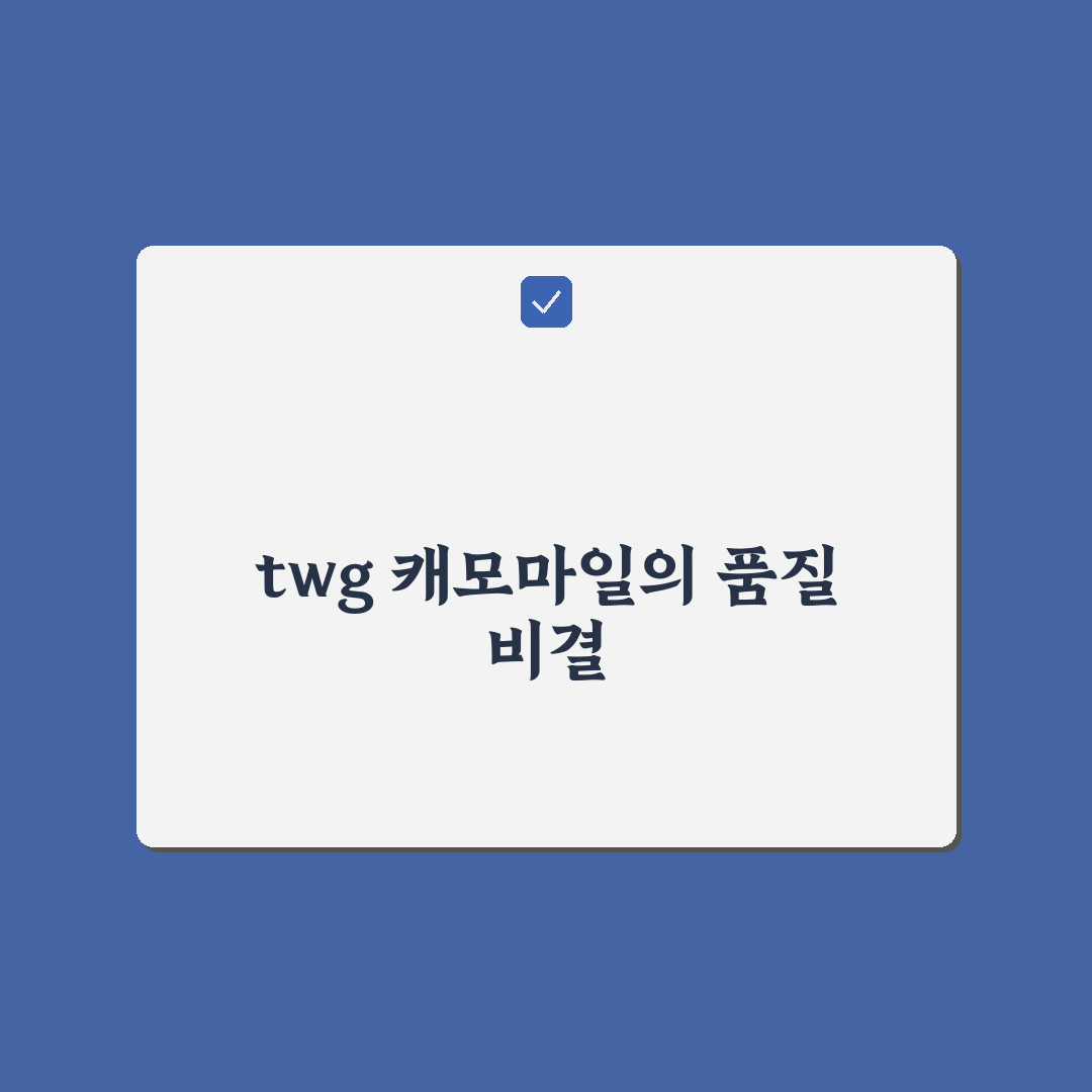 twg 캐모마일 허브티 5가지 기준 비교와 선택 가이드