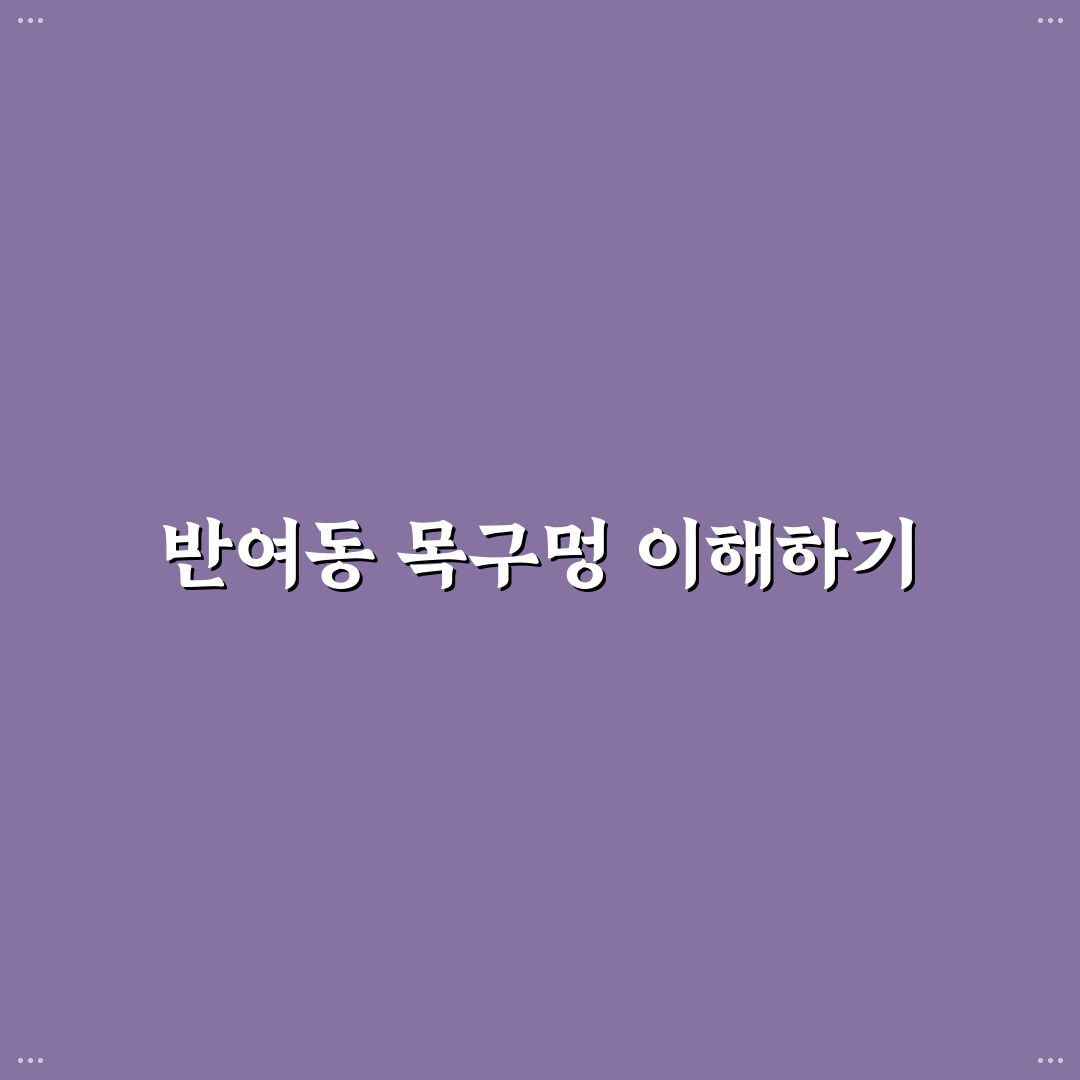 반여동 목구멍 입지와 상권 분석 및 선택 기준 총정리