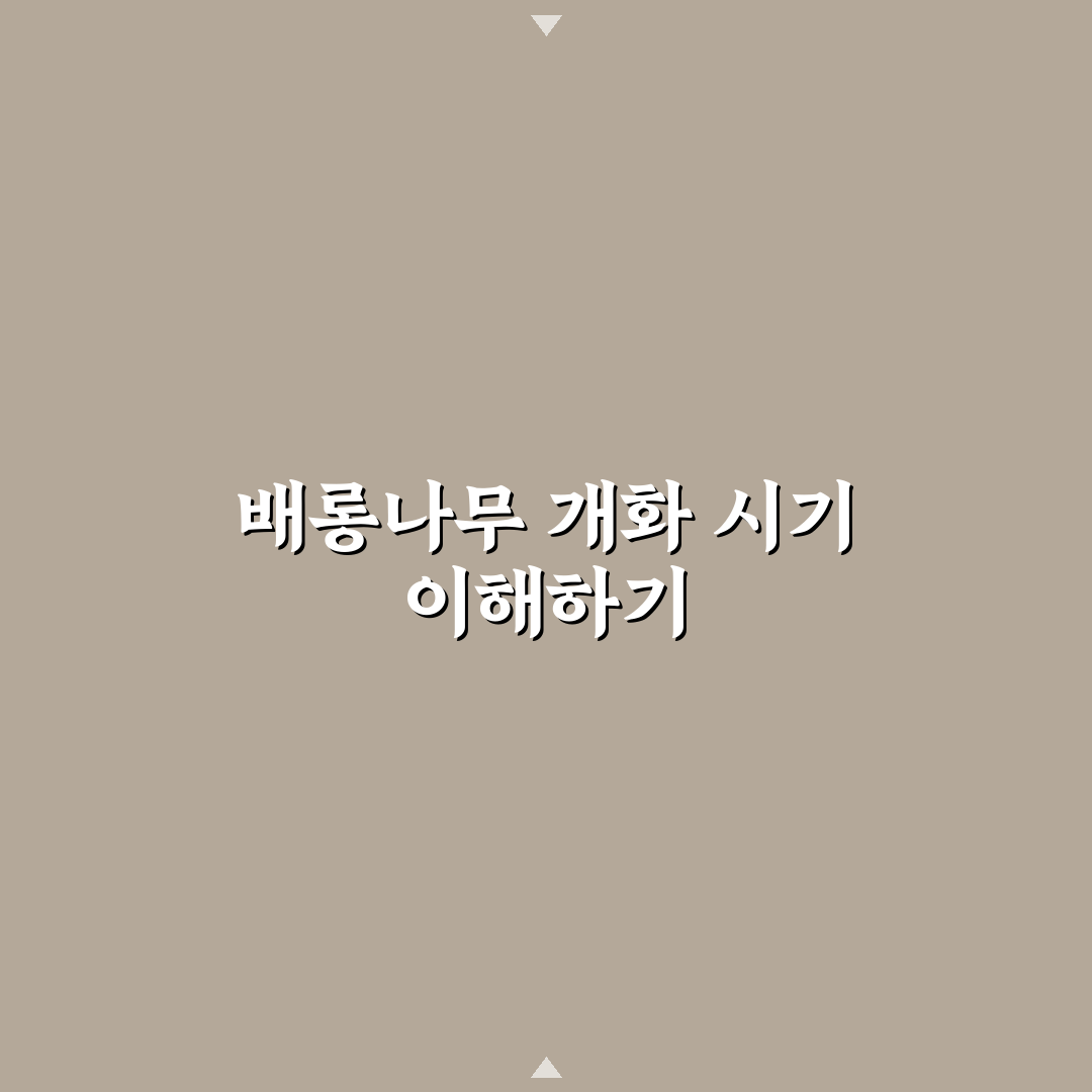 배롱나무 개화시기 5가지 기준별 비교와 분석 가이드