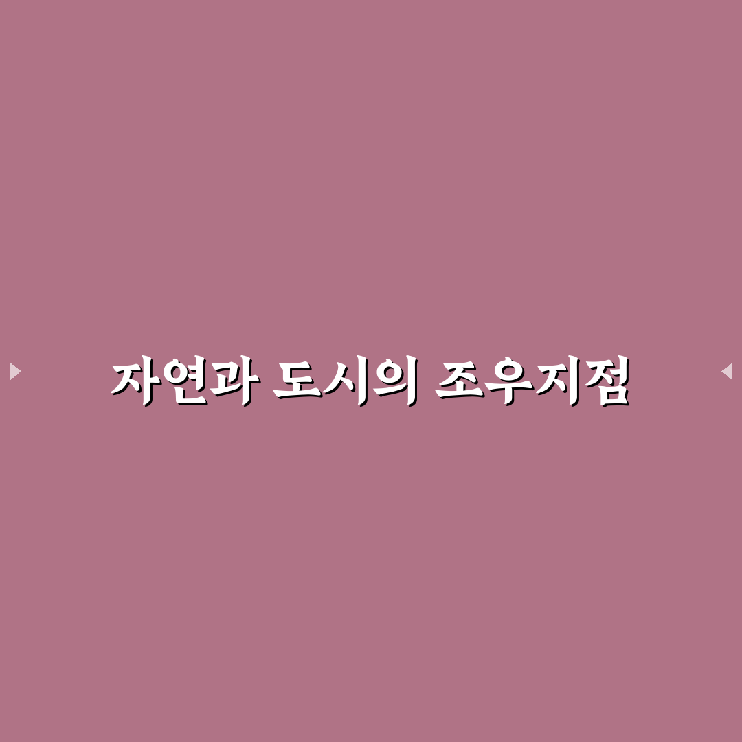 전주 조팝나무 철길 방문 전 확인할 5가지 체크포인트