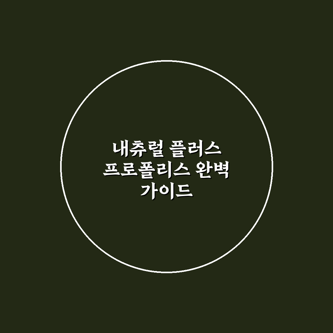 내츄럴 플러스 프로폴리스 1000 효과와 성분 분석 가이드