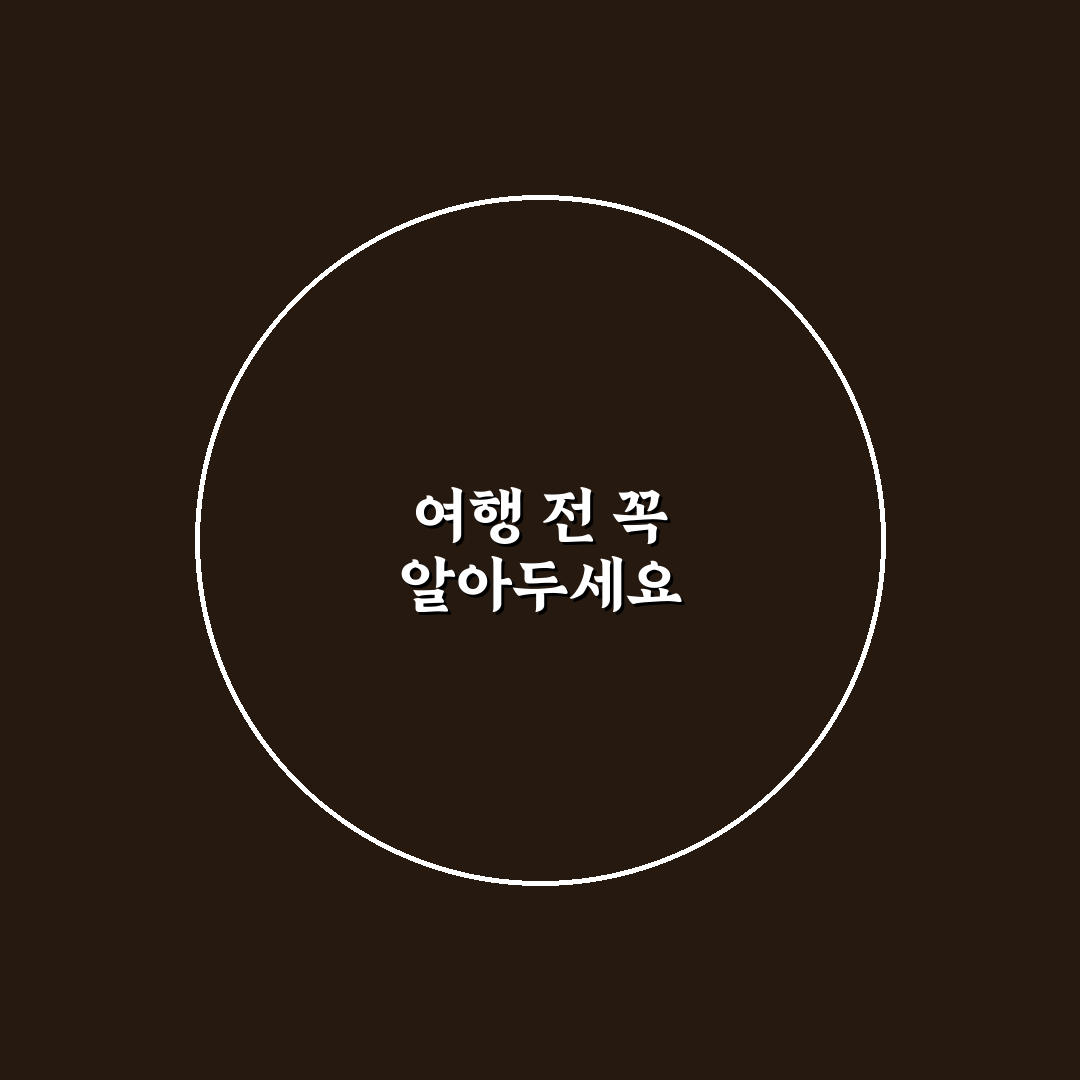 국내 여행지도 스크래치 비교와 활용 가이드 5가지 기준
