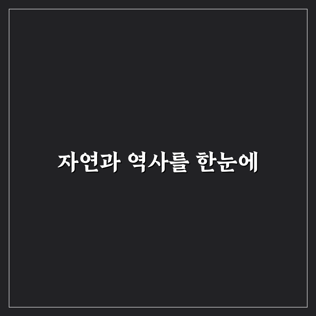 익산 미륵사지 피크닉 최적 장소와 준비물 5가지 기준 분석