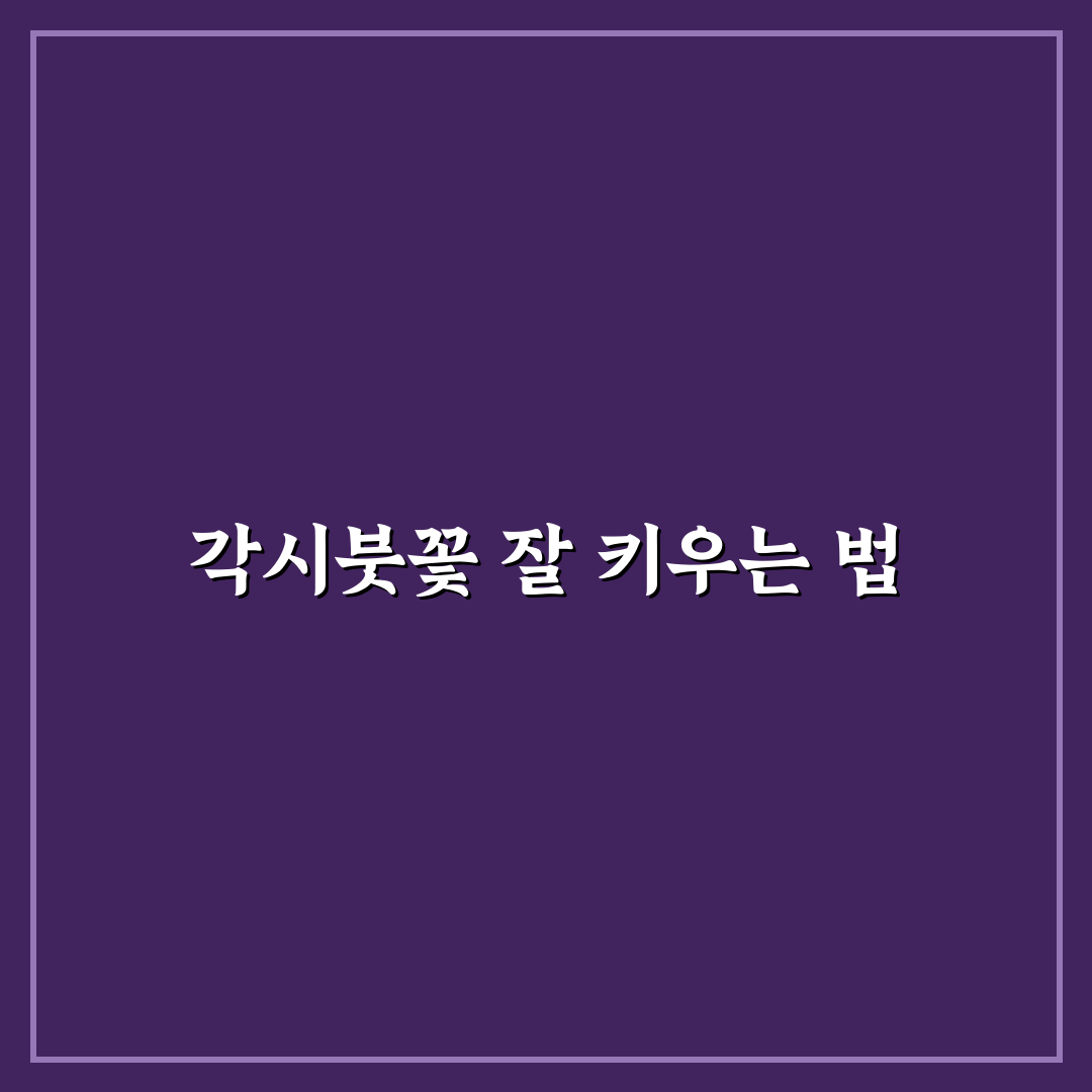 각시붓꽃 키우기 5가지 체크포인트 비교와 기준 총정리