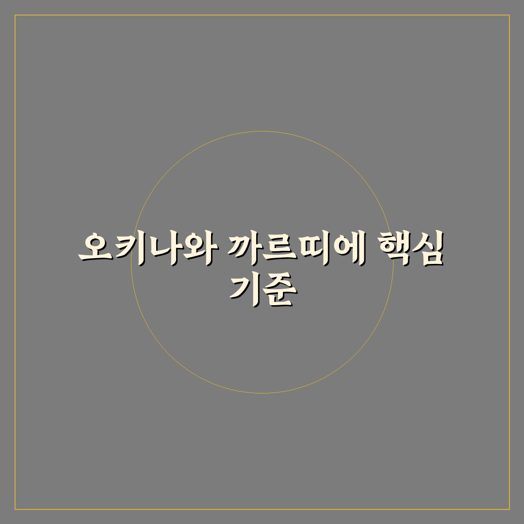 오키나와 까르띠에 선택을 위한 5가지 비교 기준 분석