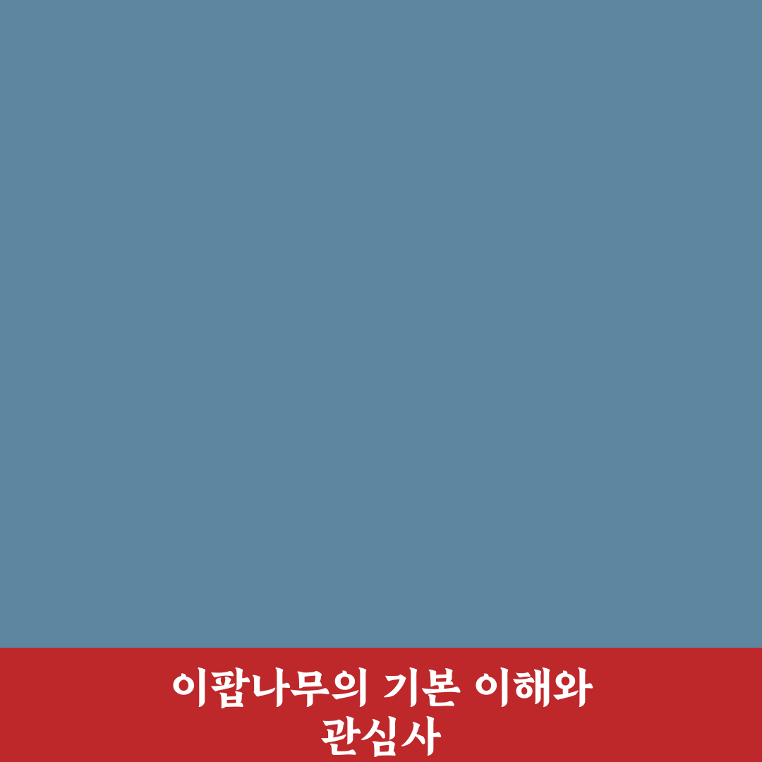 이팝나무 나무위키 정보와 특징 비교 총정리