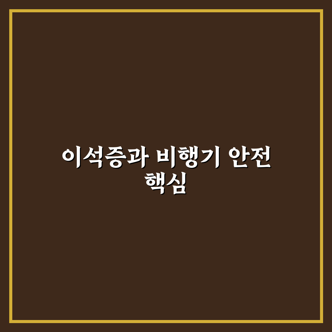 이석증 비행기 탑승 전 5가지 체크포인트 분석