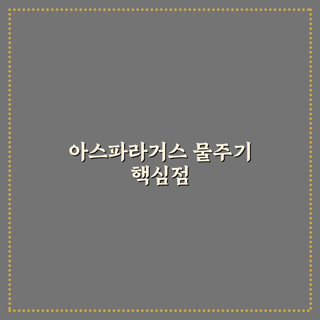 아스파라거스 메이리 물주기 5가지 기준과 관리 가이드