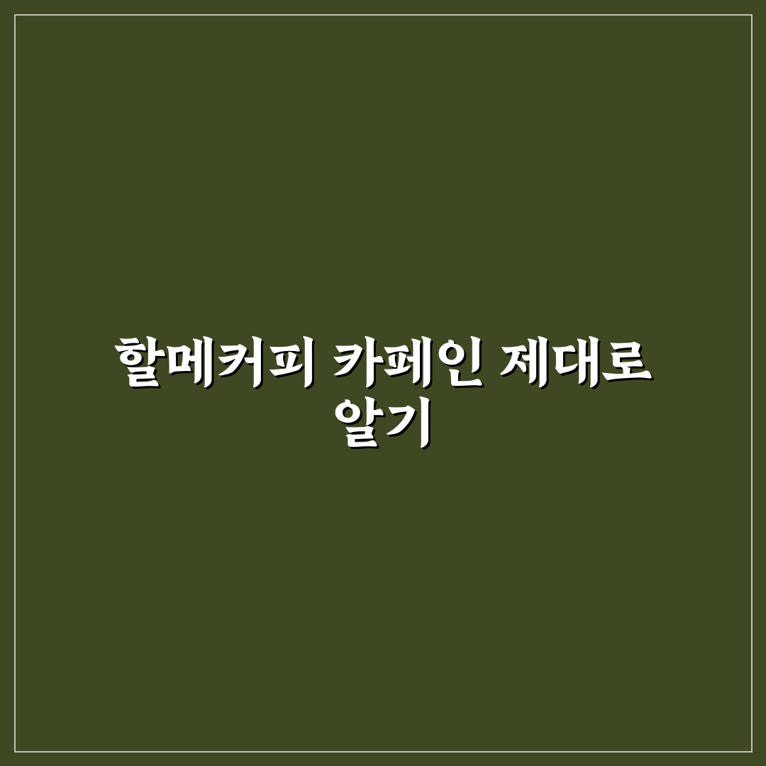 메가커피 할메가커피 카페인 함량 비교와 선택 가이드