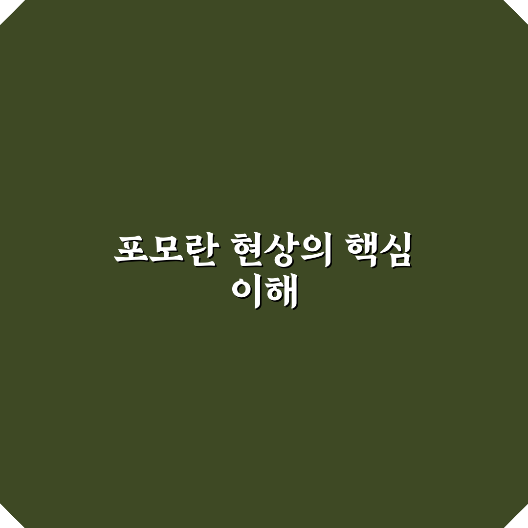 포모란 비교와 분석으로 알아보는 구매 가이드 5가지 기준