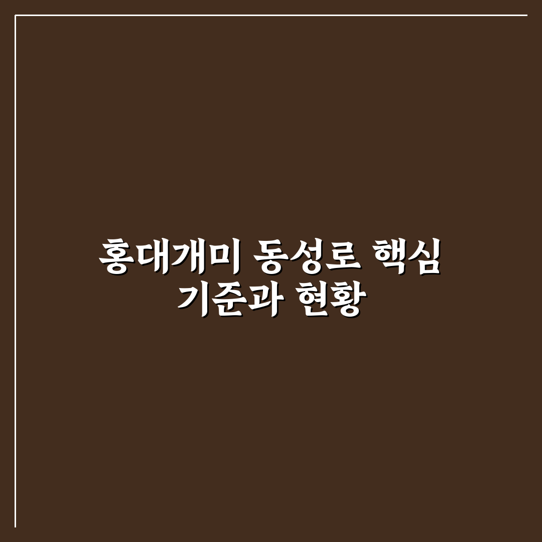 홍대개미 동성로 맛집 비교와 선택 기준 총정리