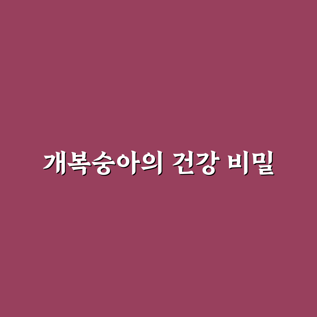 개복숭아 액기스효능 5가지 기준별 효과 분석 총정리