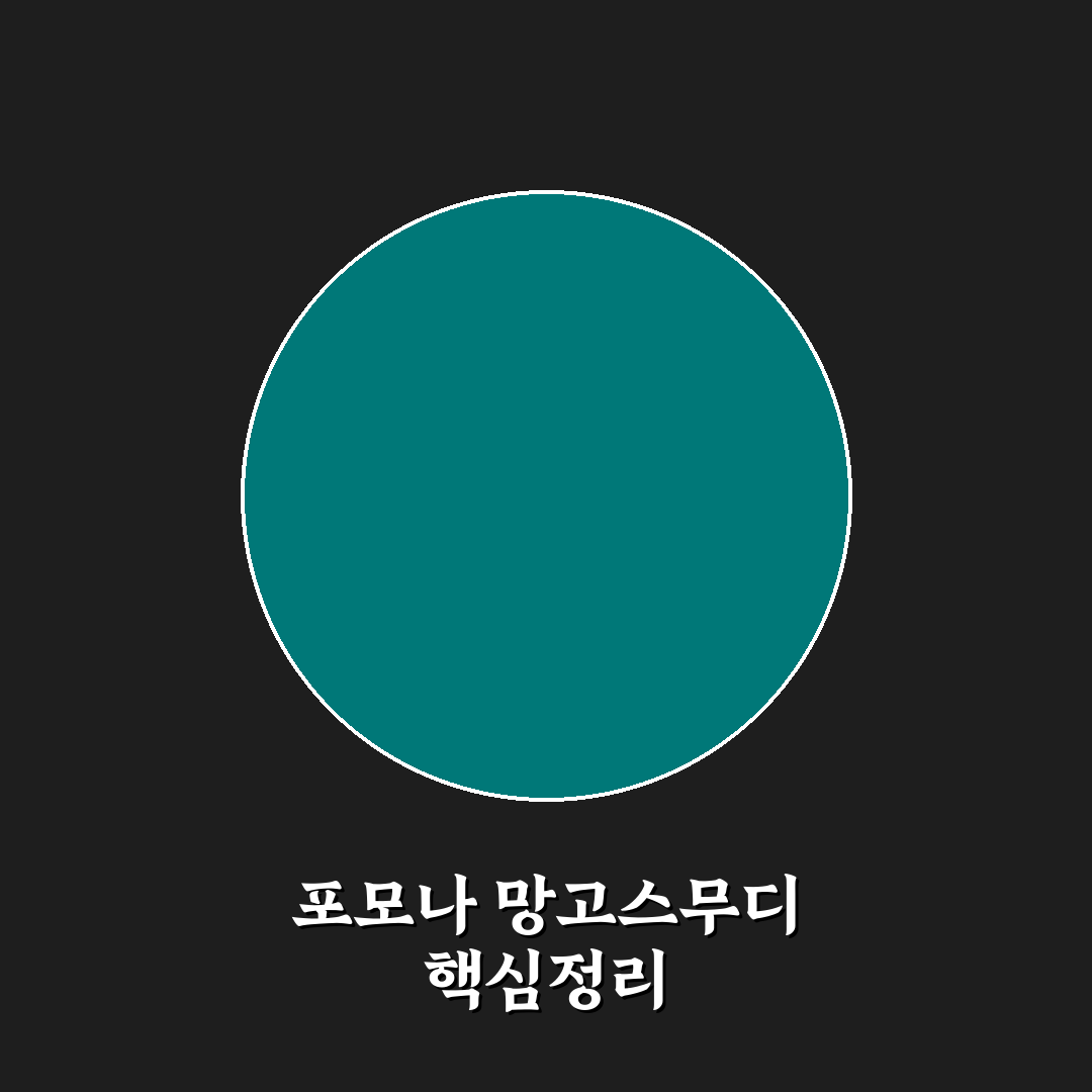 포모나 망고스무디 비교와 맛·영양 총정리 가이드