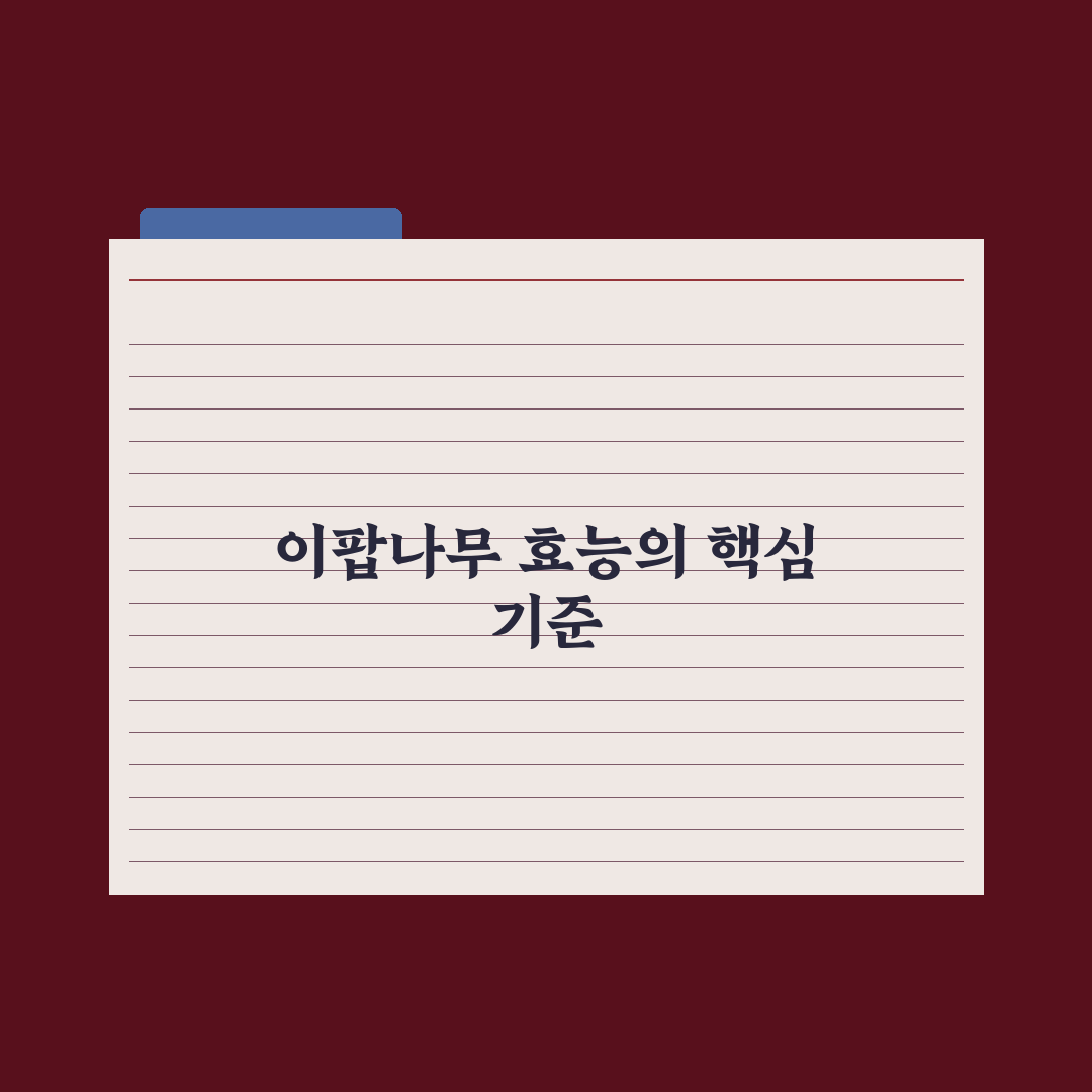 이팝나무 효능 총정리와 건강 활용 체크포인트