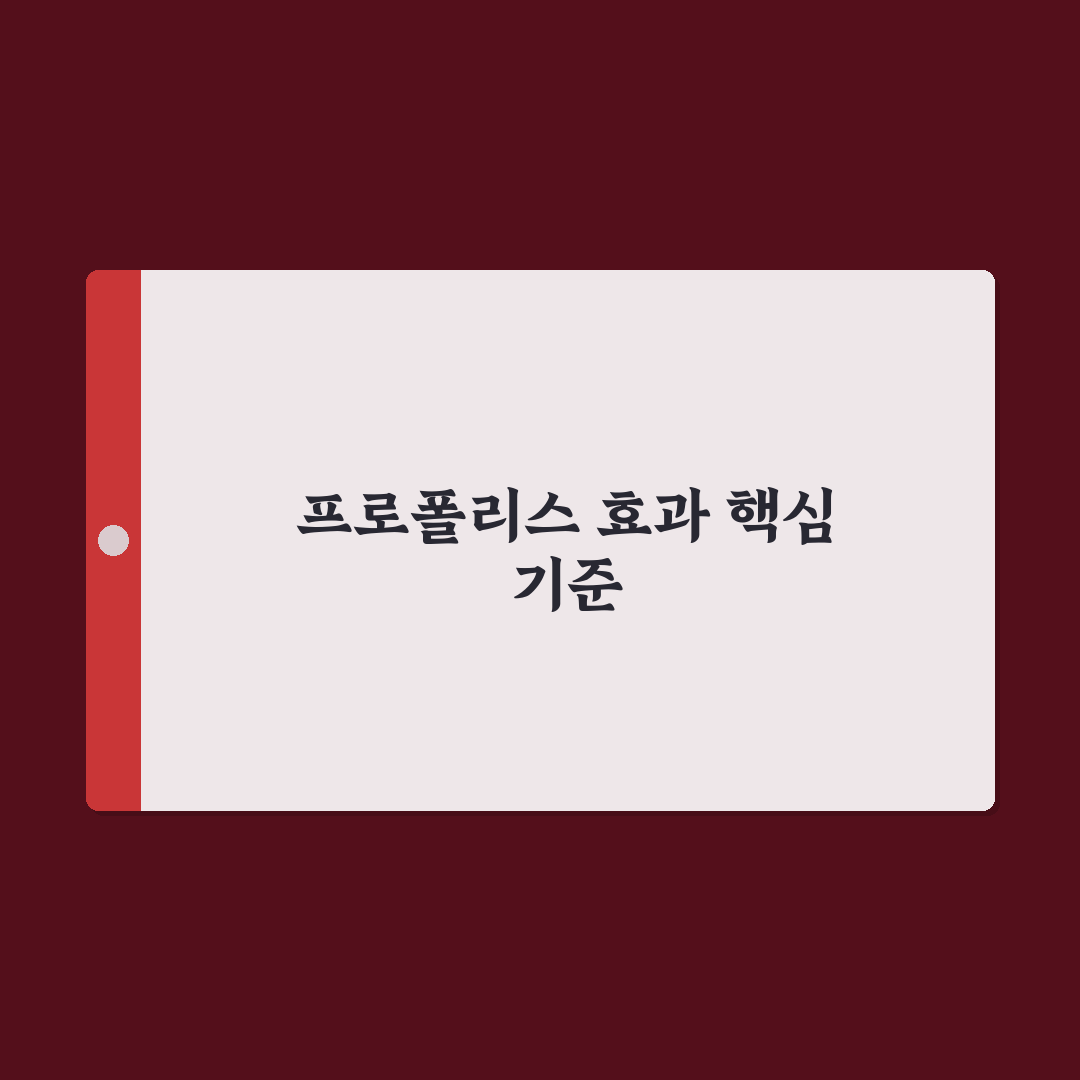 프로폴리스 포르테 효능 5가지 기준별 비교와 분석