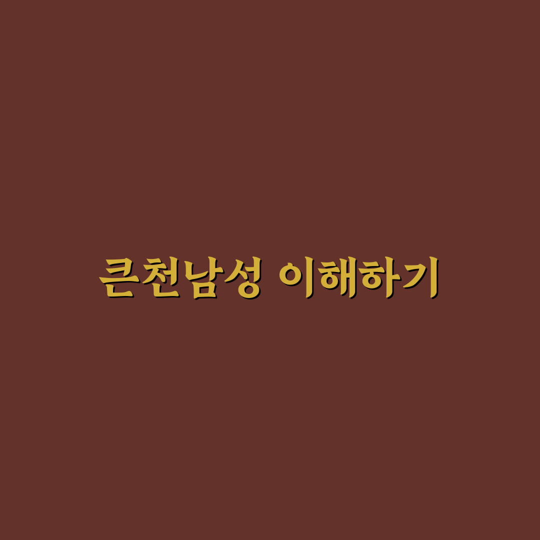 큰천남성 비교와 분석으로 보는 5가지 체크포인트