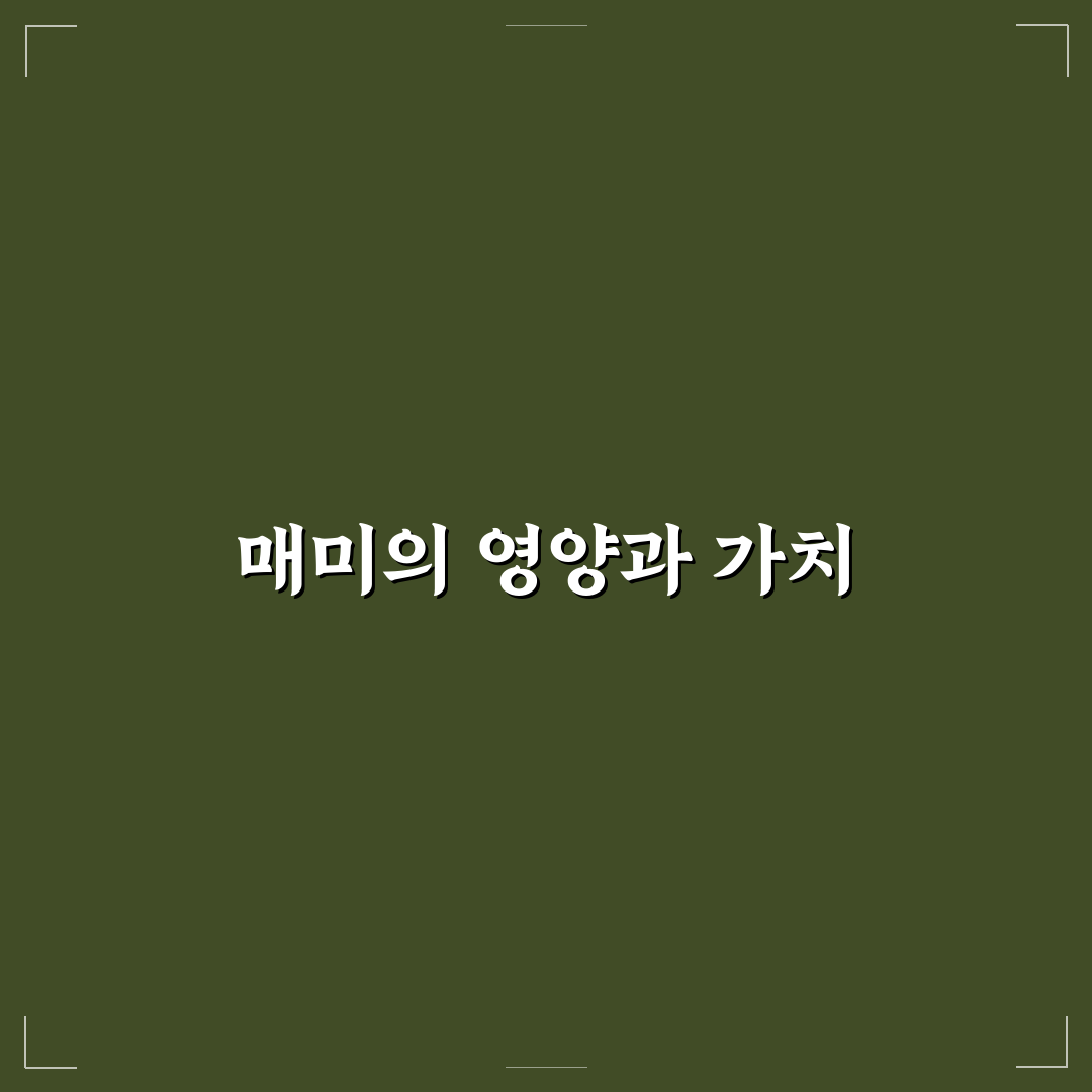 매미 식용 꿀팁 초보자도 쉽게 따라하기