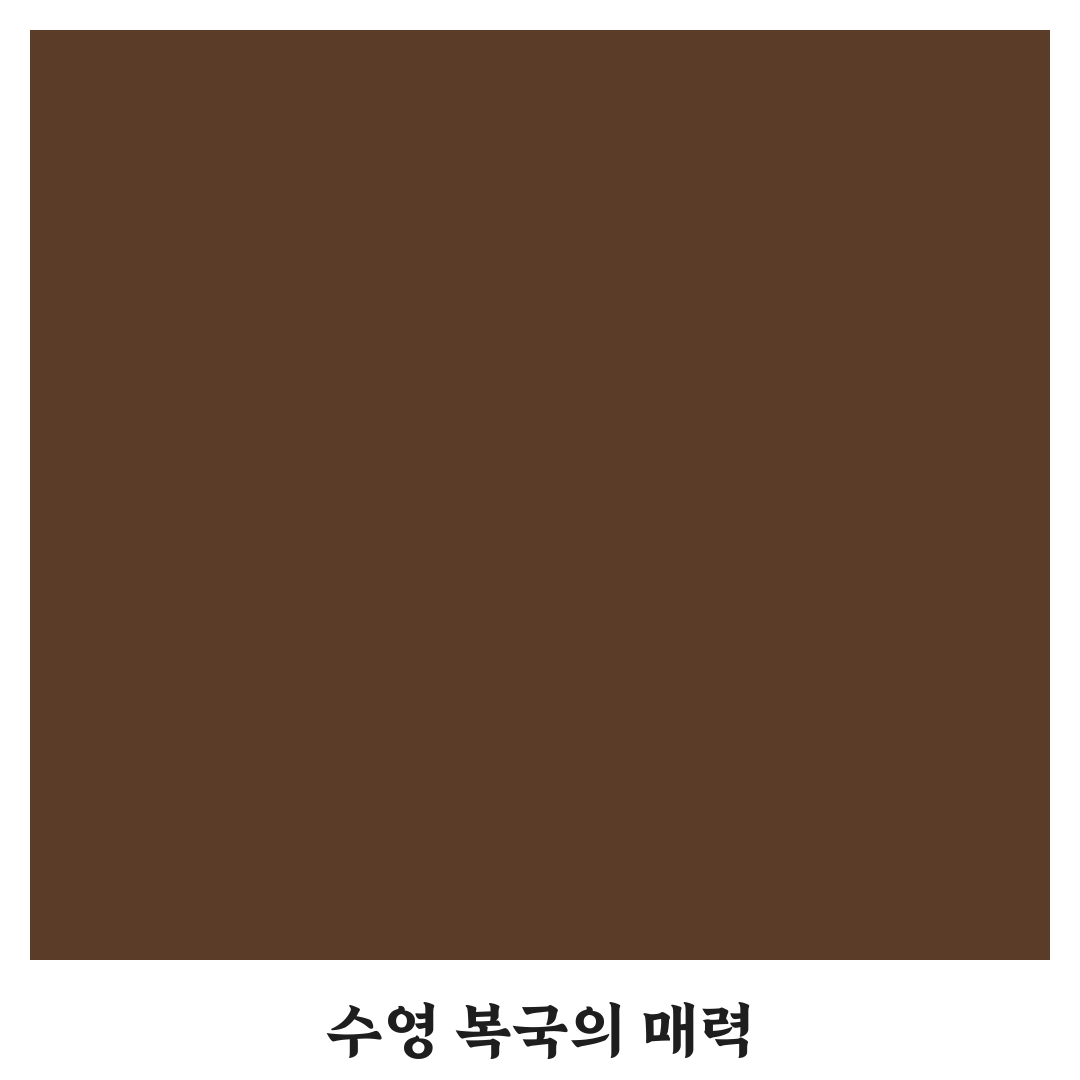 수영 복국집 추천 꿀팁과 인기 메뉴 정리