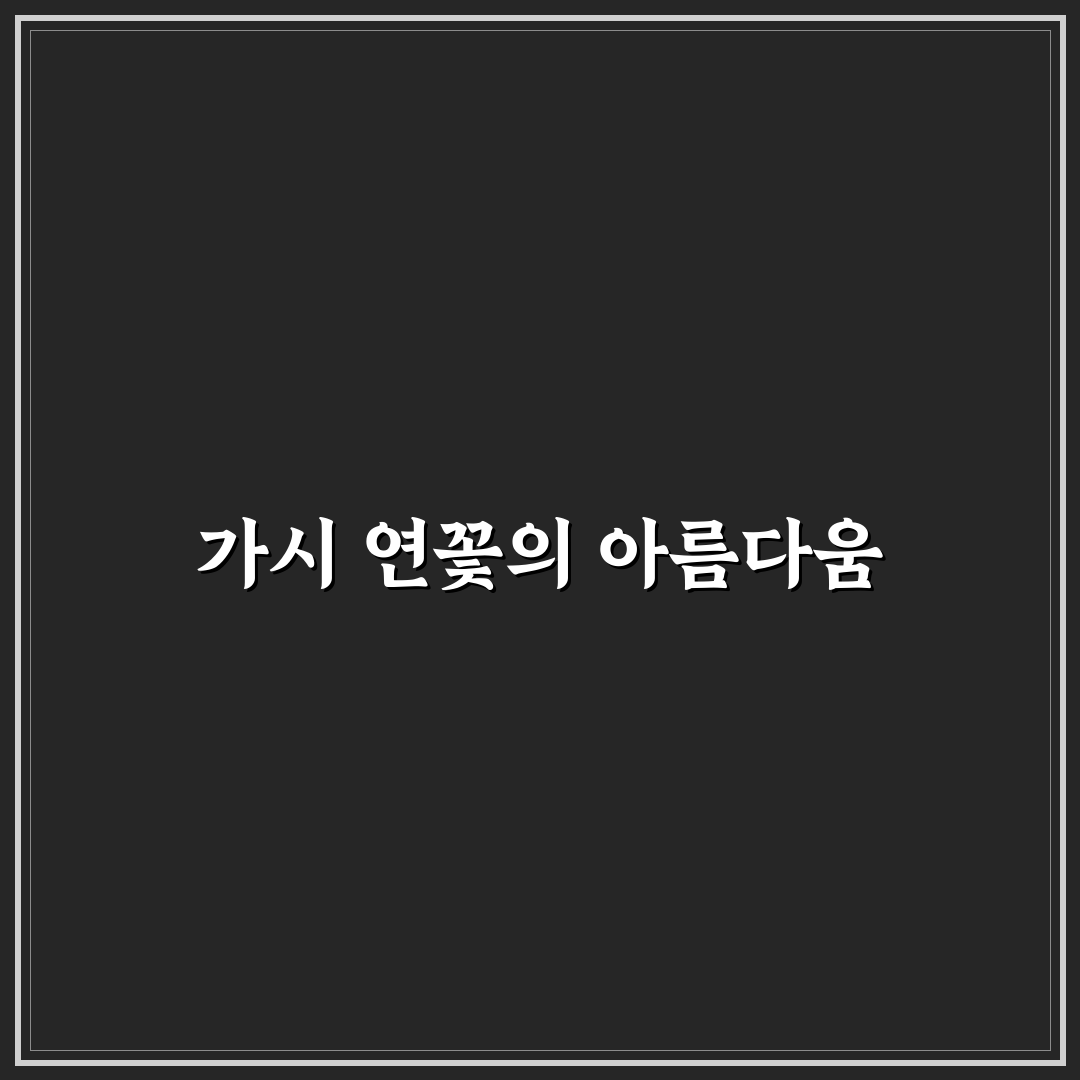 가시 연꽃 일러스트 추천 꿀팁과 활용법 정리