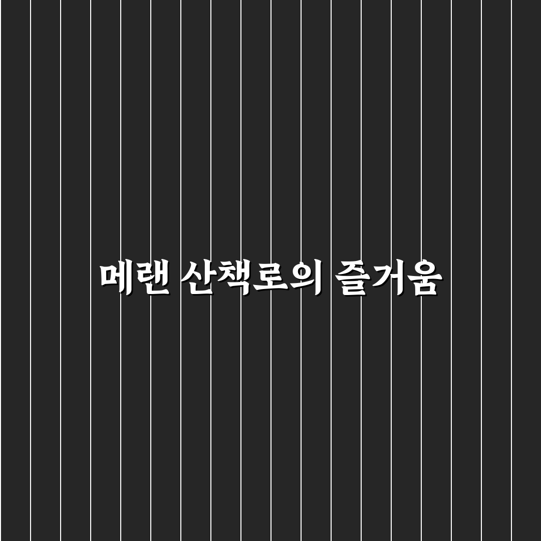 메랜 산책로1 걷기 좋은 꿀팁 정리