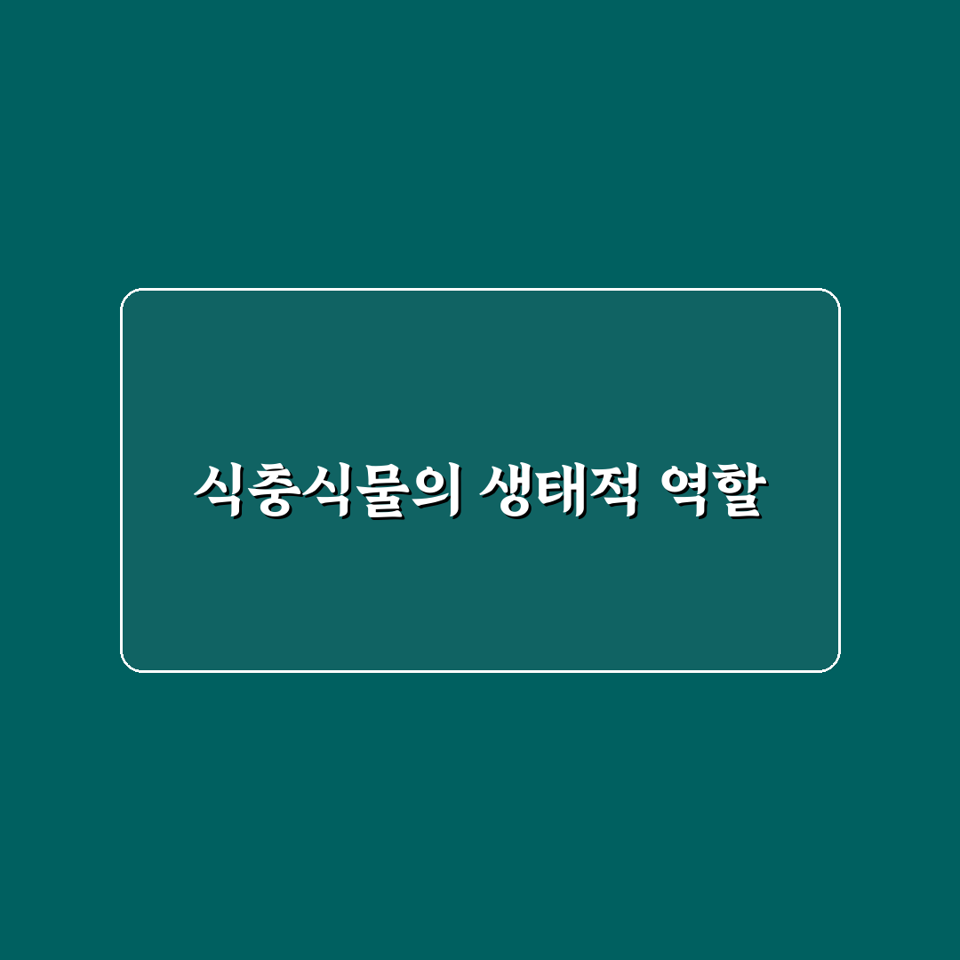 식충식물 가사 쉽게 이해하기 위한 꿀팁 공유