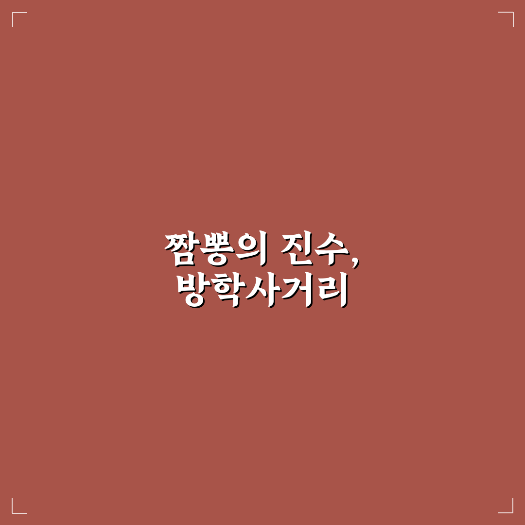 방학사거리 짬뽕집 추천 꿀팁 총정리